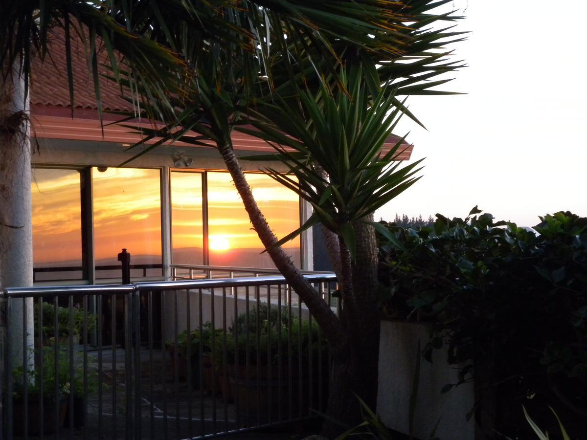 Tangoio Sol Y Mar B&B المظهر الخارجي الصورة